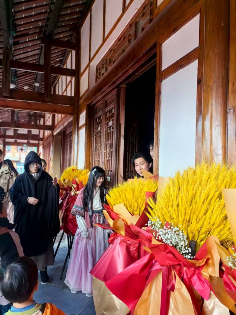 临泉县文旅项目策划